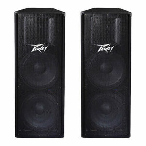 Peavey PV215 PA Speaker